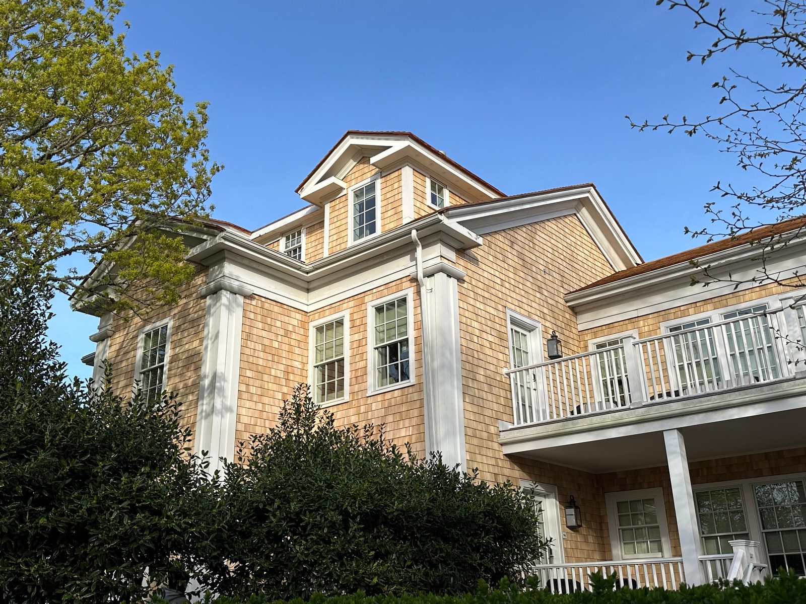 Cedar Siding