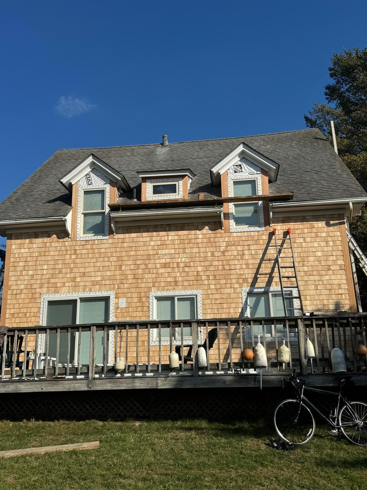 Cedar Siding